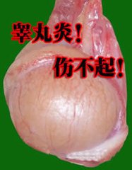 邯郸燕赵中医医院
