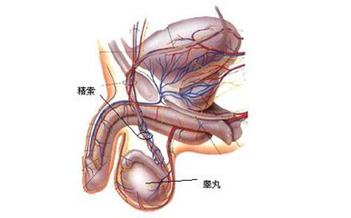 邯郸燕赵中医医院
